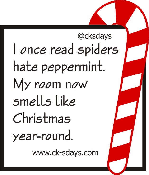 spiders peppermint
